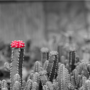 Selective coloring
