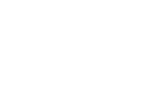 Logo-(White)-Google