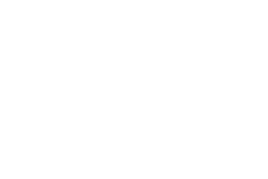 Logo-(White)-Mindy Weiss