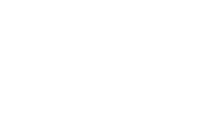 Logo-(White)-Salesforce
